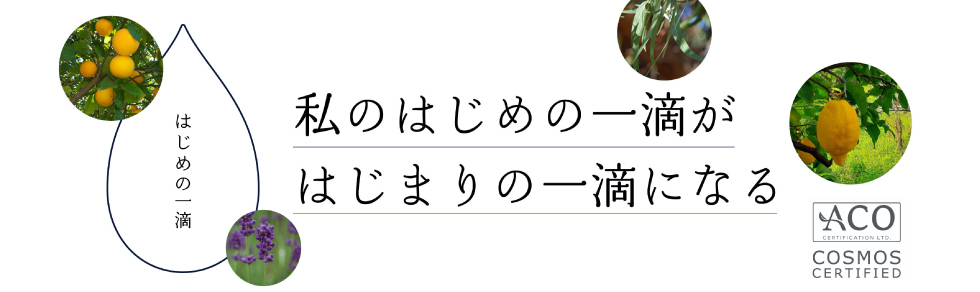 新しい商品が入荷しました。