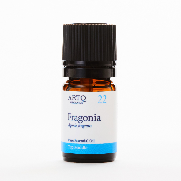 フラゴニア(Fragonia)