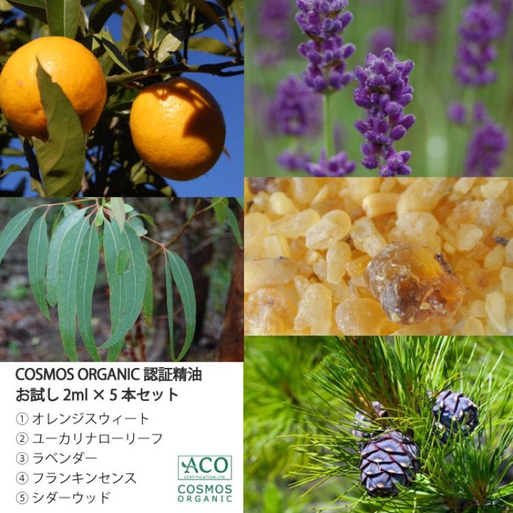 オーガニック精油に触れるお試し精油５本セット＜５セット＞