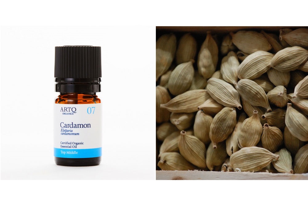 セルフケア精油セット【冷え】