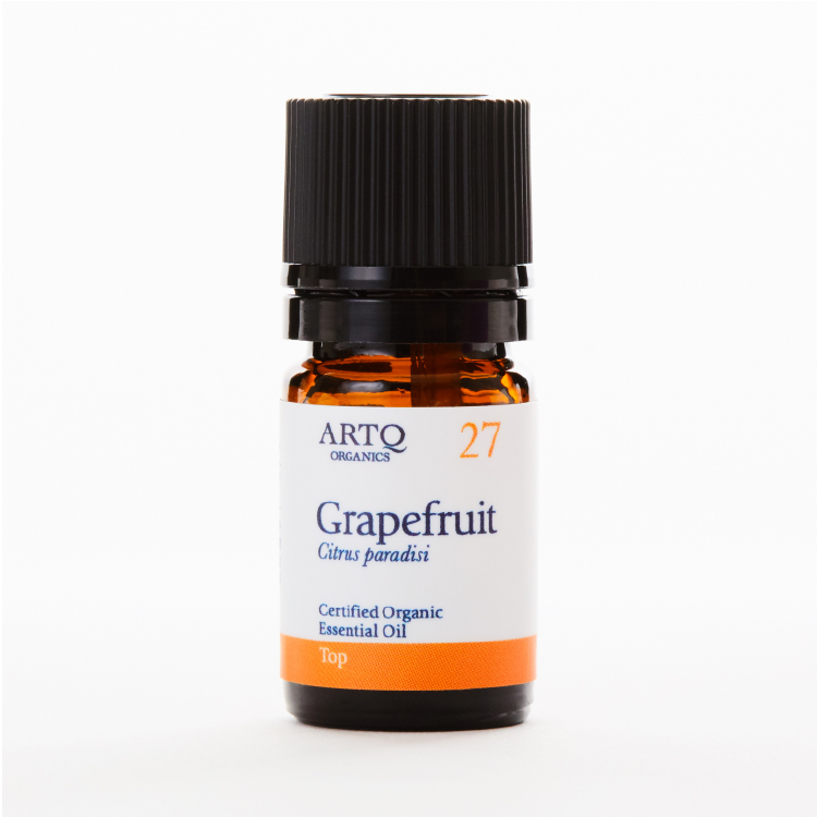 グレープフルーツ(Grapefruit)