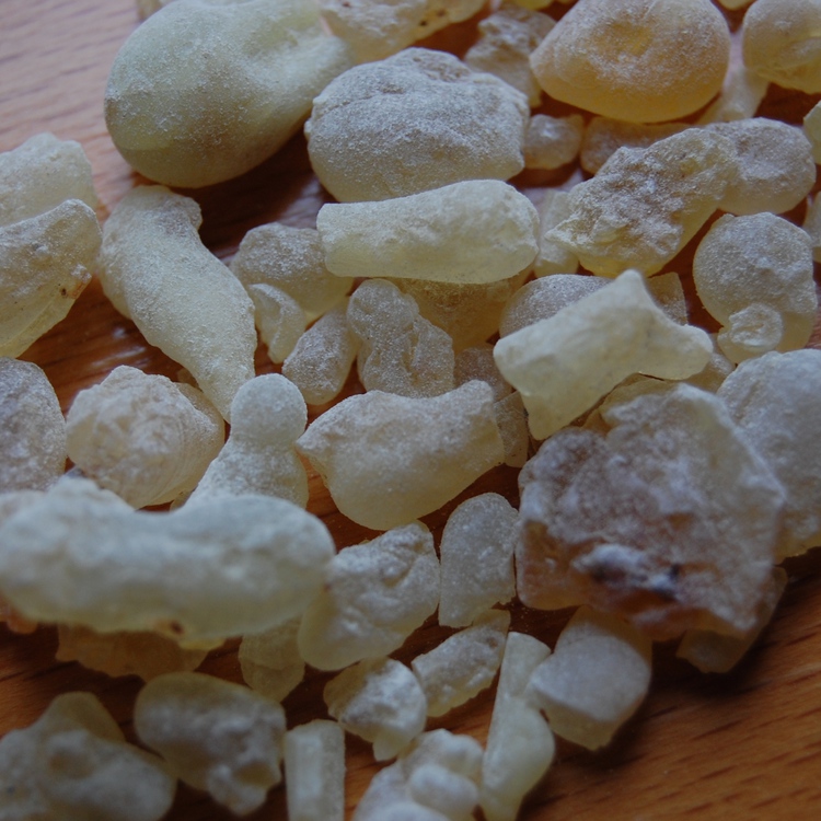 フランキンセンス カルテリ2025・オーガニック認証精油