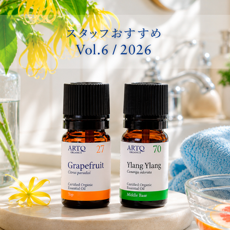 【期間限定】スタッフおすすめセットVol.6