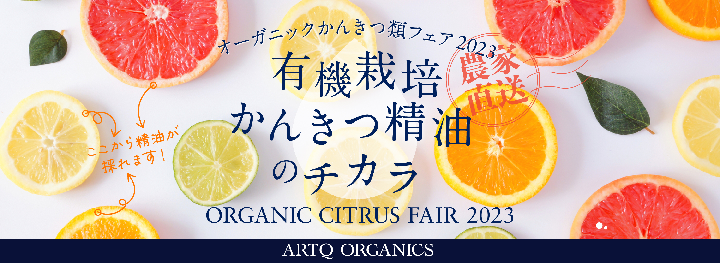 オーガニックかんきつ類フェア2023 | ARTQORGANICS（アロマ