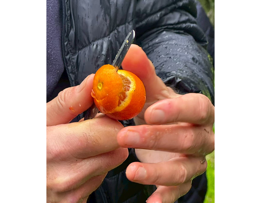 ORGANIC CITRUS FAIR 3