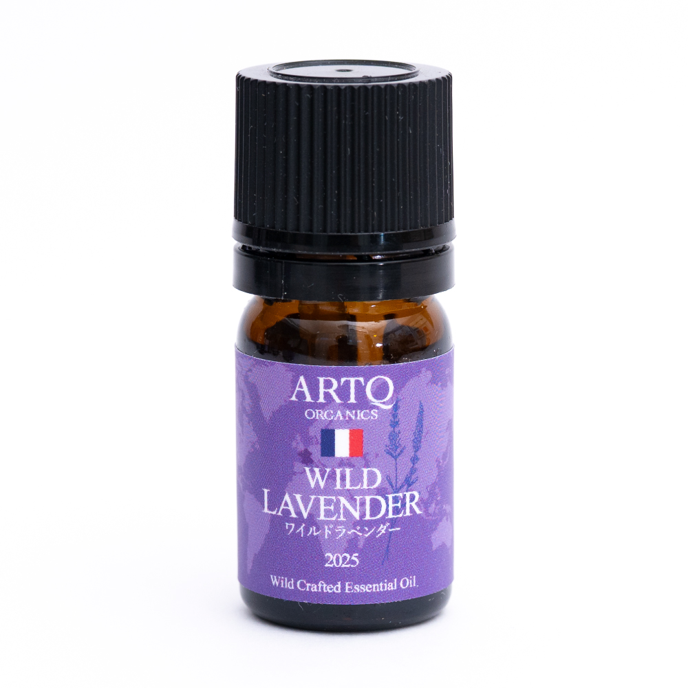 ワイルドラベンダー
