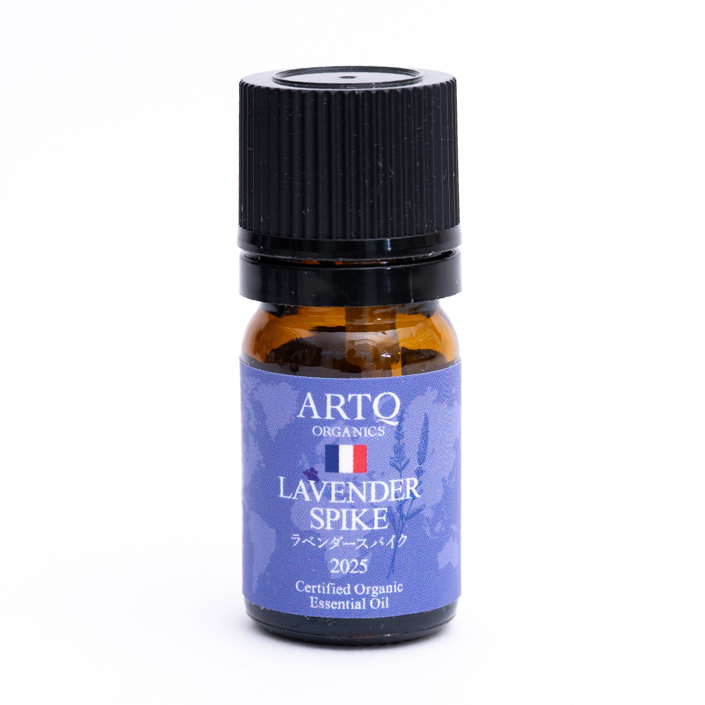 ラベンダースパイク