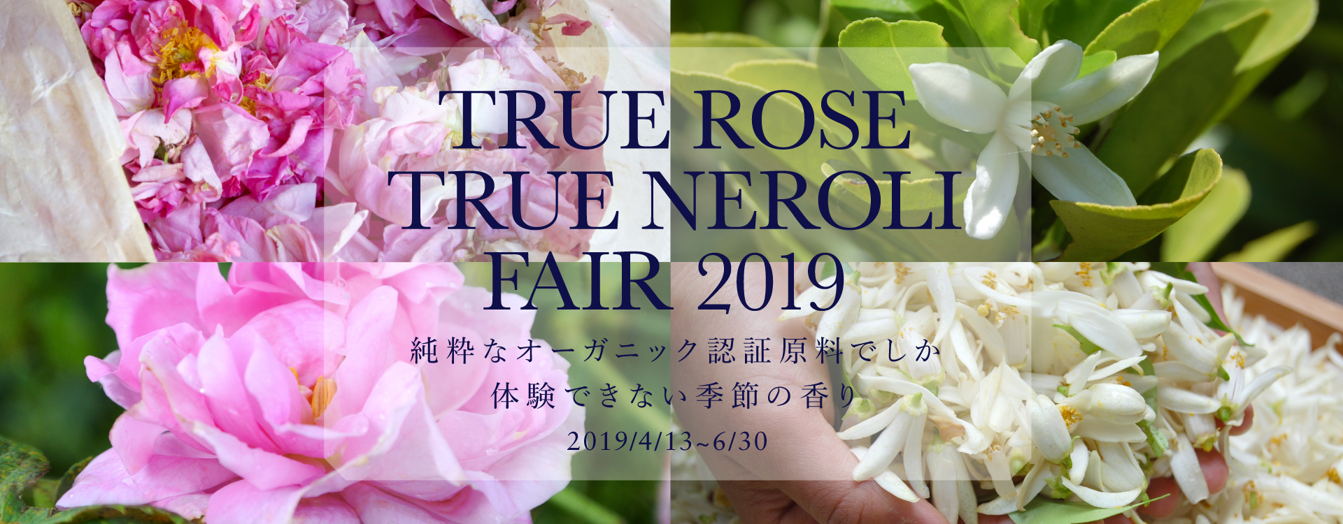 TRUE ROSE & TRUE NEROLIフェア 2019 （ローズ&ネロリ） | ARTQ