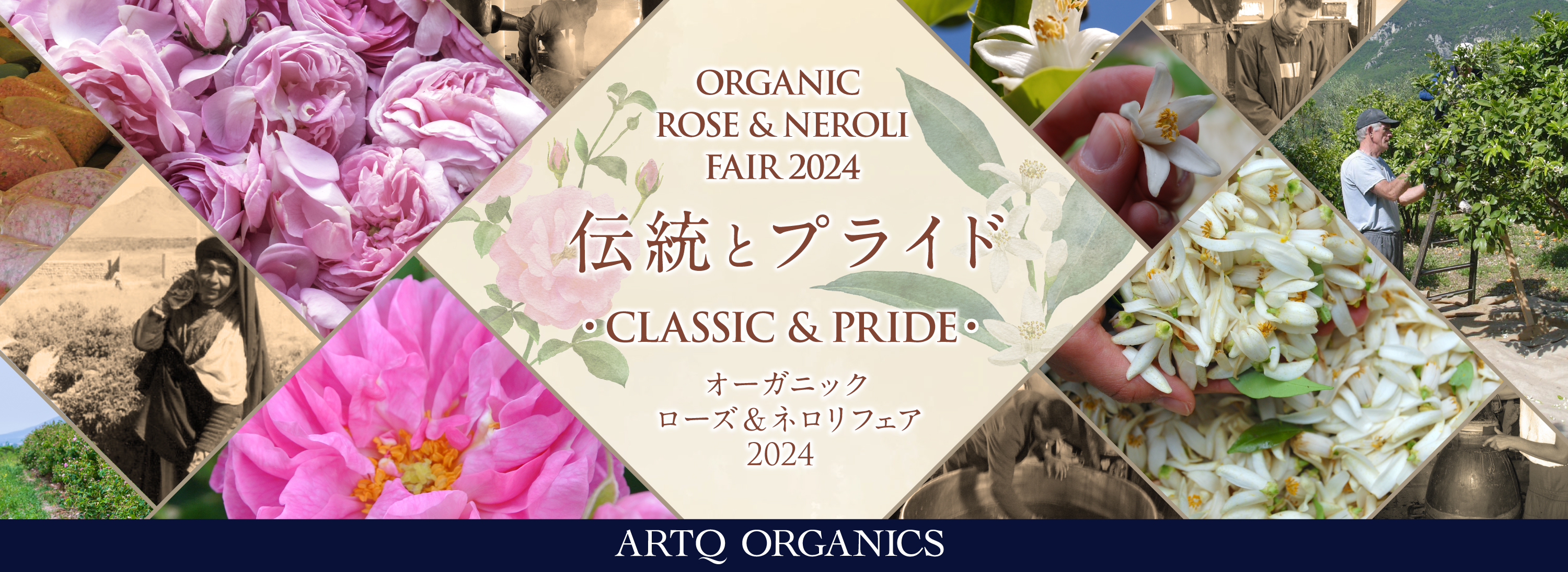 オーガニックローズ＆ネロリフェア 2024