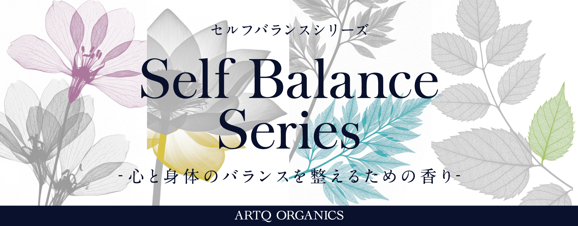 セルフバランスシリーズフェア2025